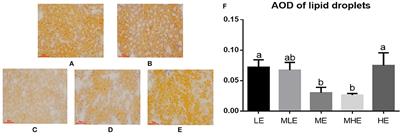 Hepatic Injury Induced by Dietary Energy Level via Lipid Accumulation and Changed Metabolites in Growing Semi-Fine Wool Sheep